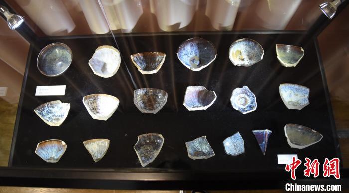 汪星侶收藏的吉州窯兔毫盞標本。　范宇斌攝